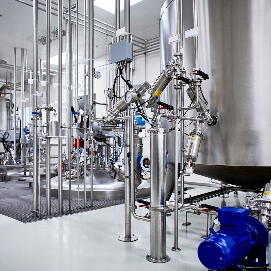 Zellwachstum in einem Bioreaktor zur Produktion von kultiviertem Fleisch
