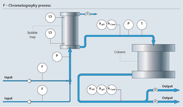 Chromatographischer Prozess