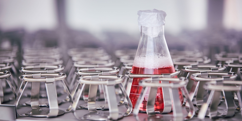 Bio manufacturing Bio manufacturing