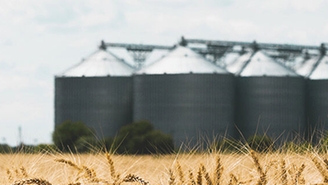 Eine typische mehrere Silos umfassende Anlage zur Lebensmittellagerung, beispielsweise Getreide